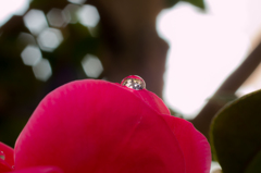 Raindrops
