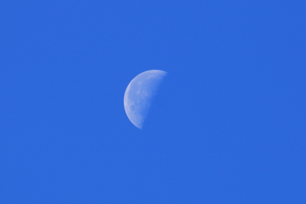 Bluemoon
