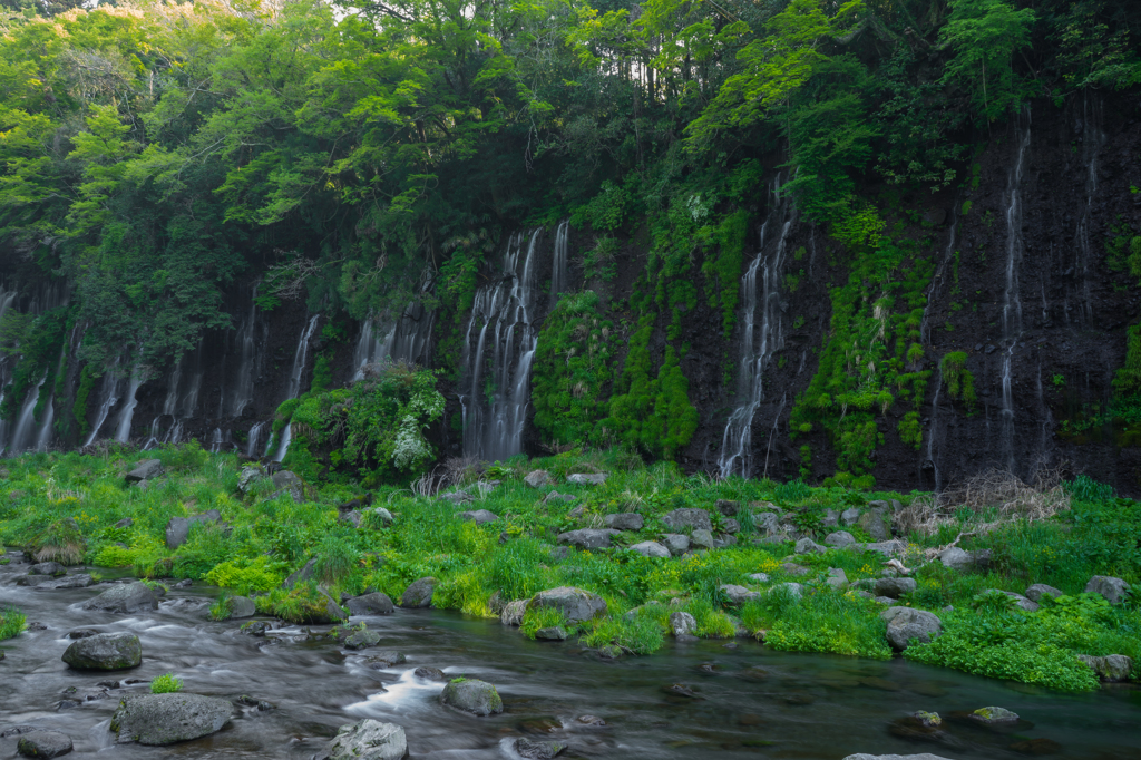 新緑の白糸の滝 ②