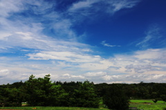 夏空