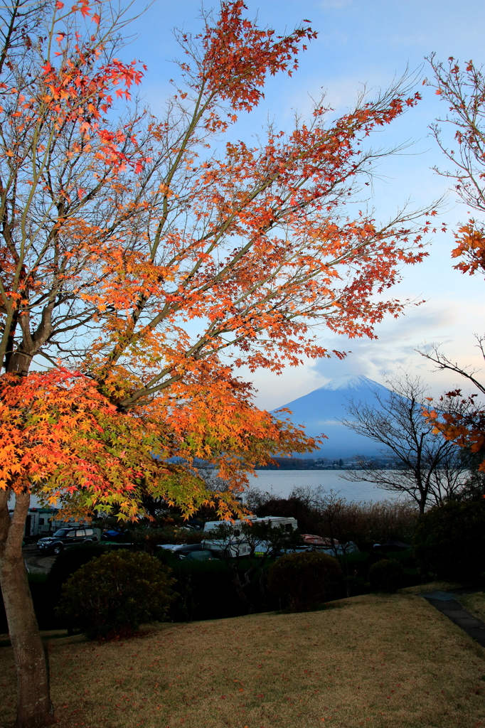 紅葉と富士