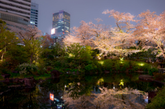 夜桜庭園