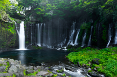 新緑の白糸の滝 ③