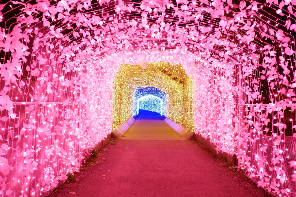 三色トンネル -Pink Side-