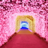 三色トンネル -Pink Side-