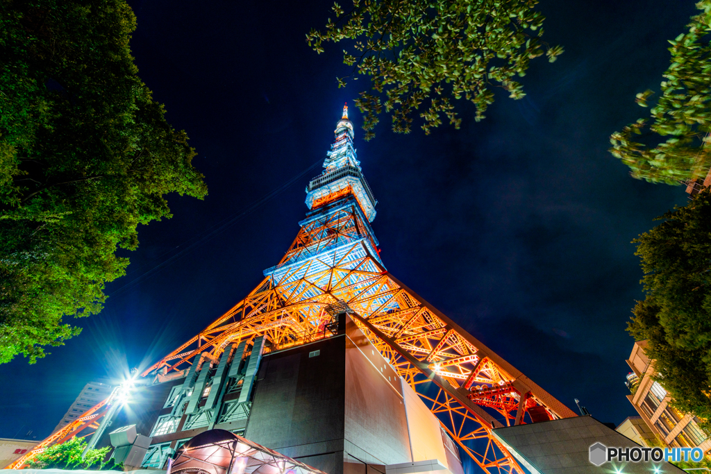 TOKYO TOWER