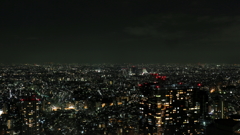 東京夜景色