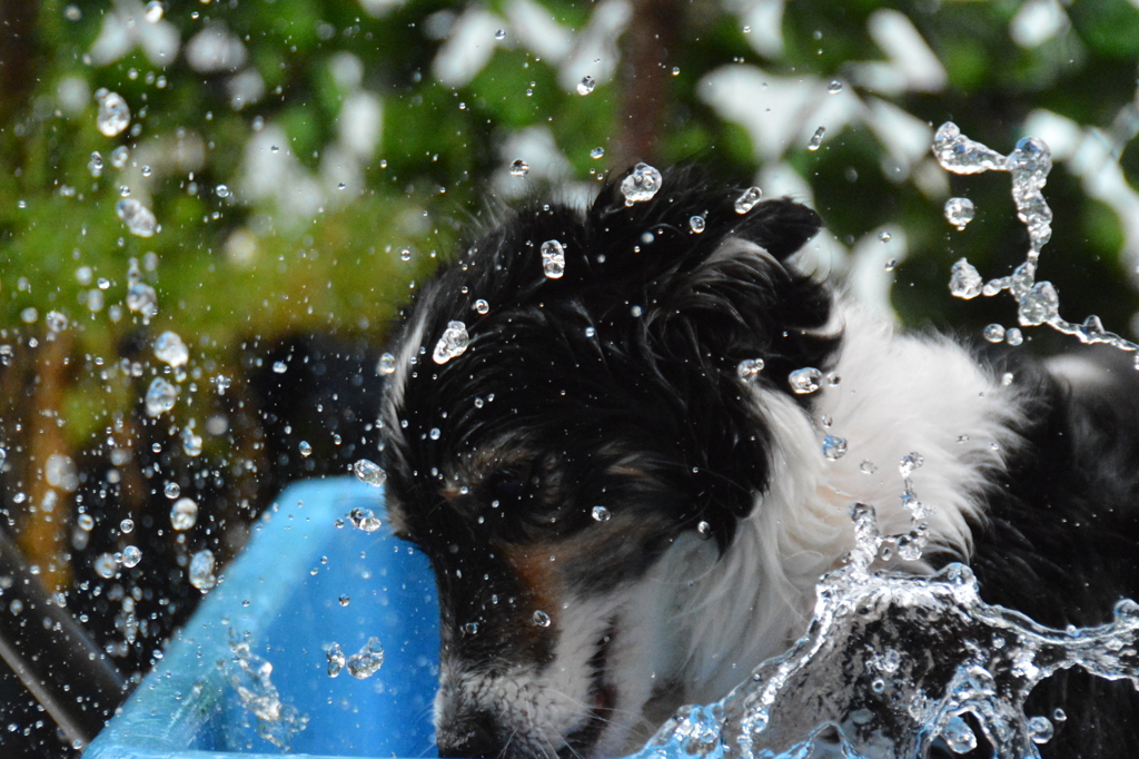 ベランダプール