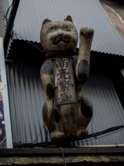 繁華街猫 繁華街猫