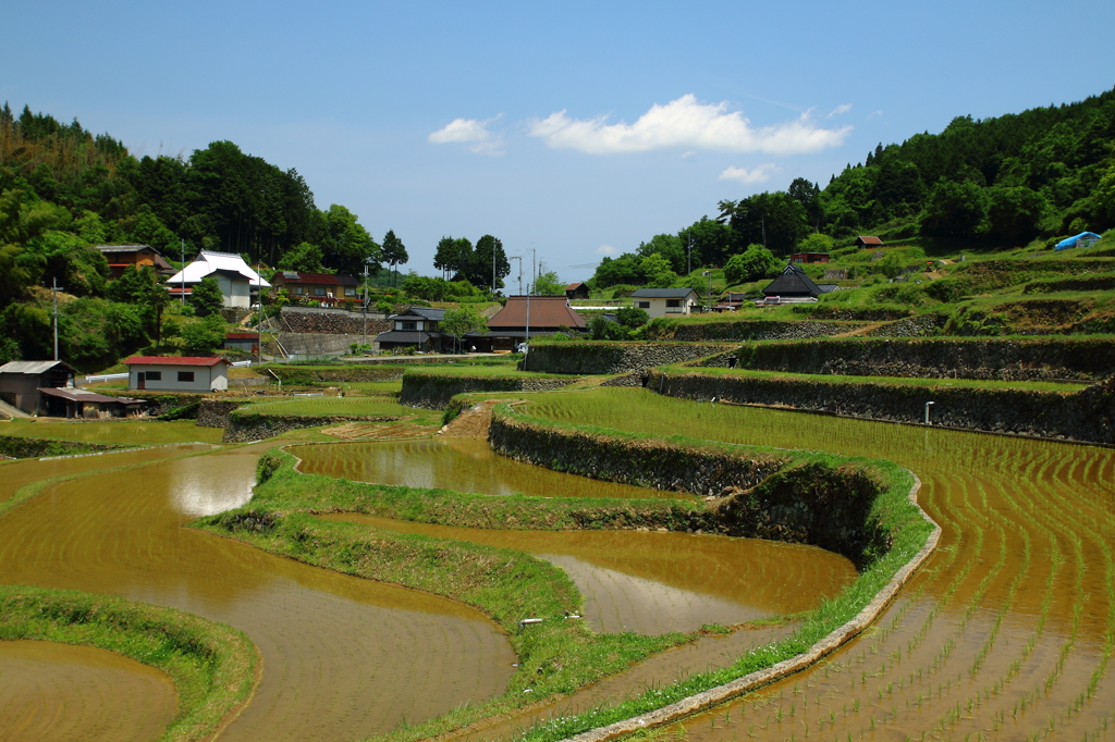 棚田のある風景