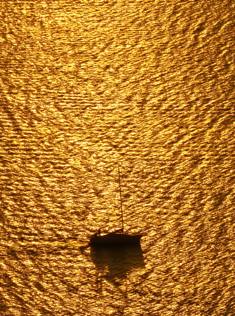 金箔の海