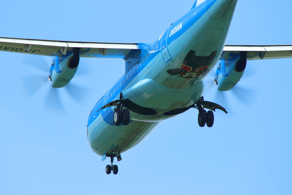 空飛ぶくまモン