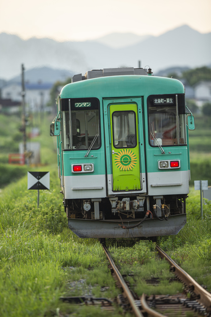 試し撮り