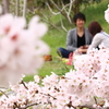 お花見デート