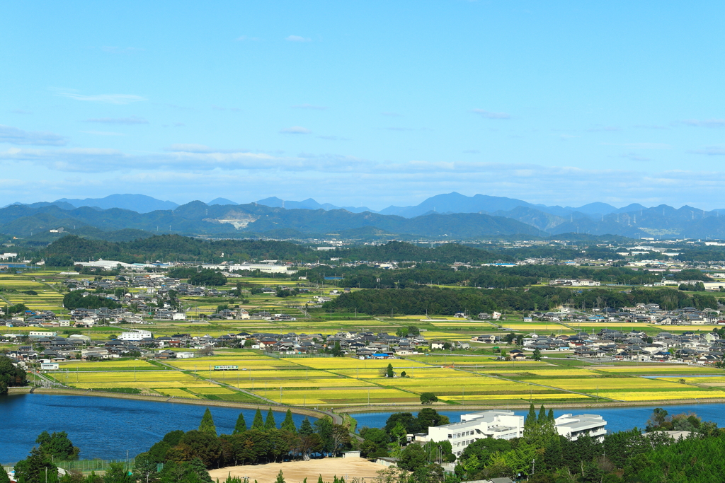 鉄道を探せ
