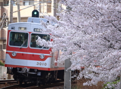 ウルトラマン参上