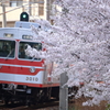 ウルトラマン参上