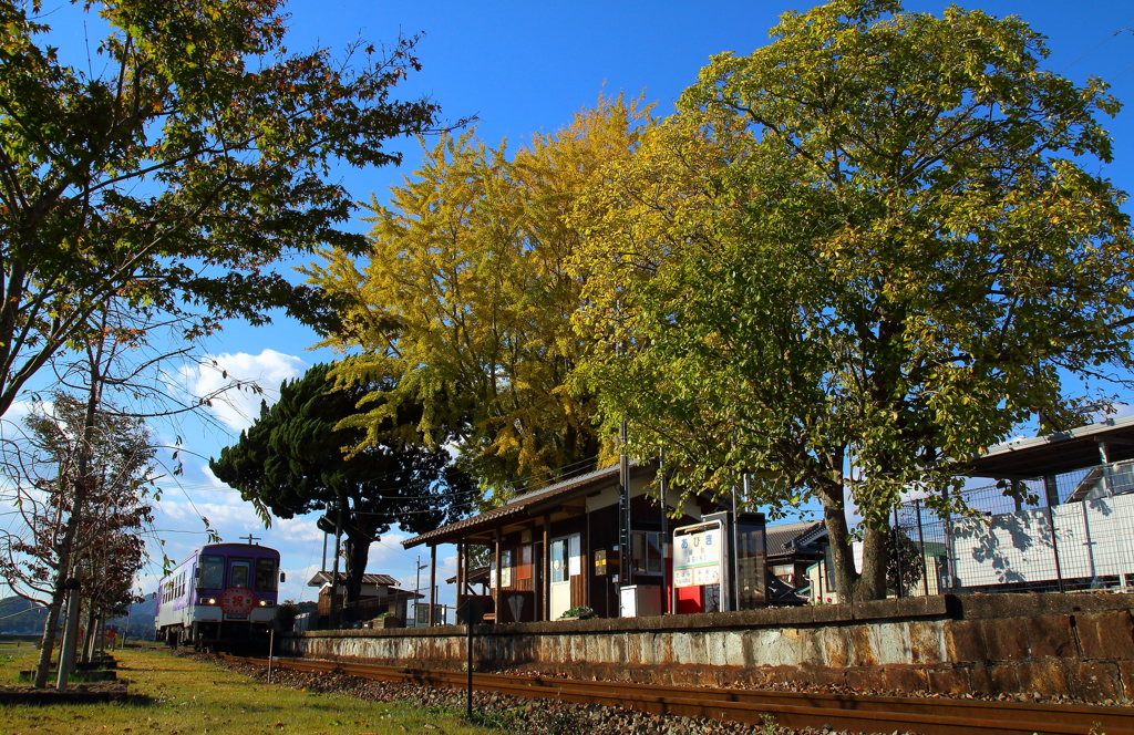 秋色鉄道　2