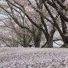 花道