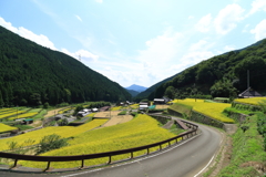 岩座神の秋