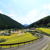 岩座神の秋