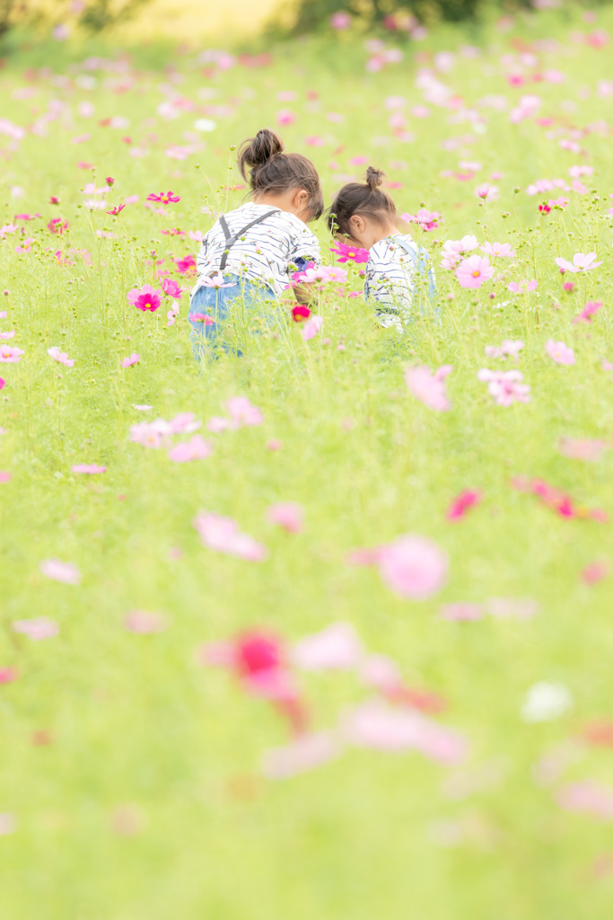 お花畑で