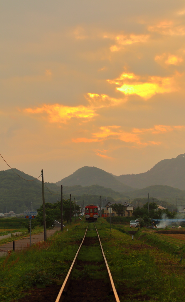 網引ストレート