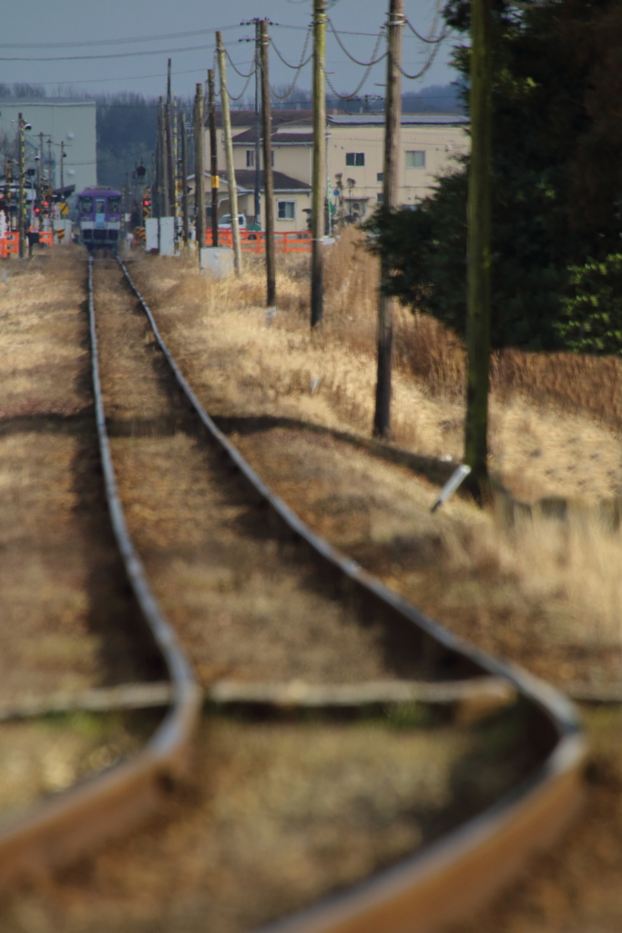 冬枯れの北条鉄道