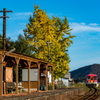 田原のイチョウ（駅舎有り）