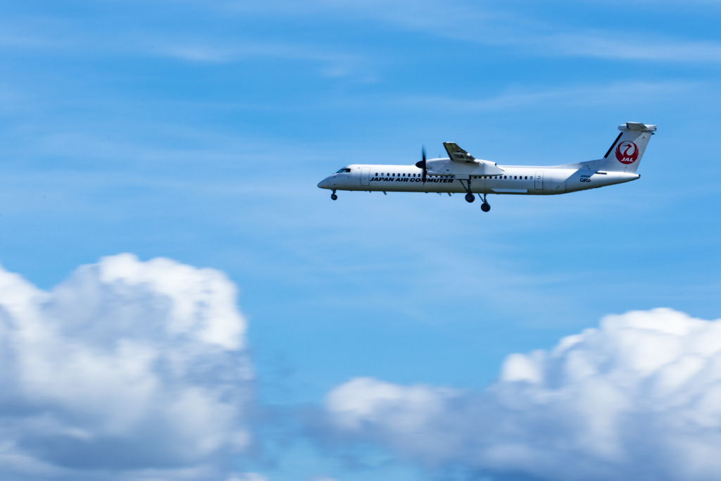 空を泳ぐ