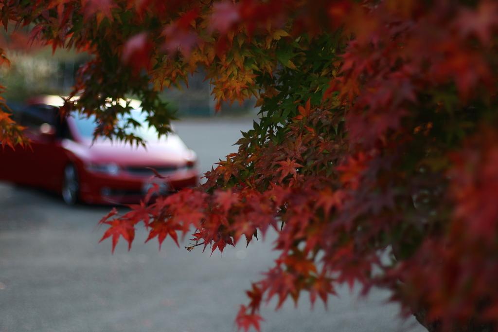 どっちが赤い？