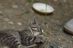 落ち着くわ～