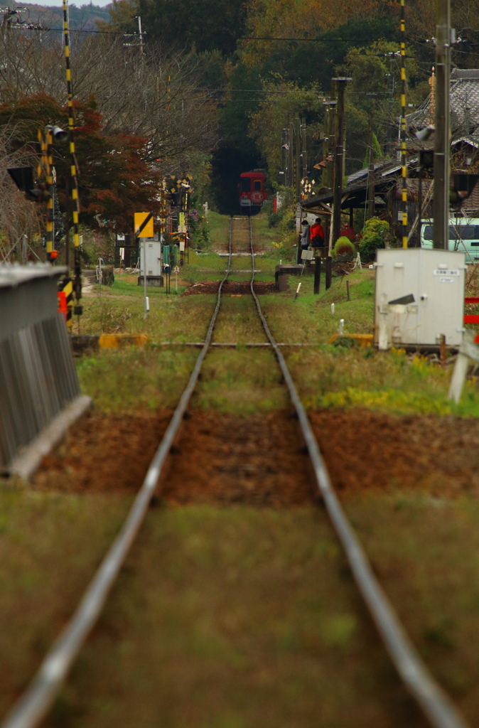 早めのライト点灯運動