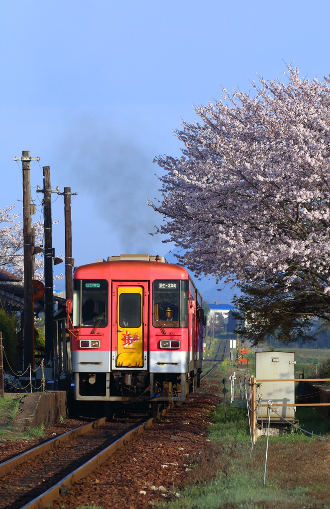 春の法華口