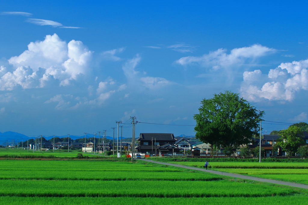列車の無い夏の鉄道風景2