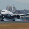 着地