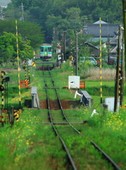 緑の風景