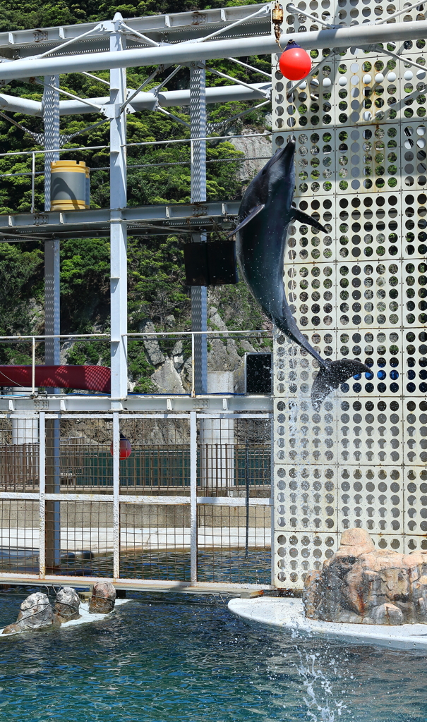 成功！