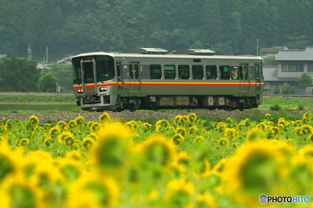 夏の姫新線