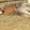 仕事しようぜ