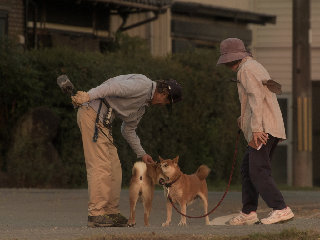 夕暮れの散歩