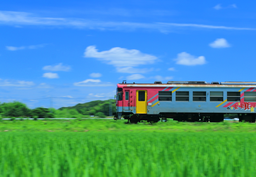 夏を駆ける
