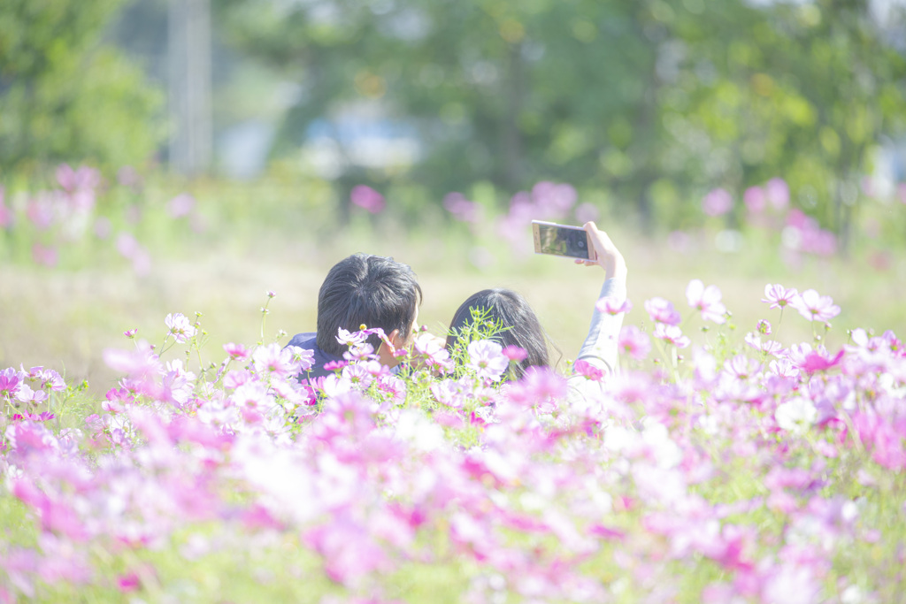 お花畑で