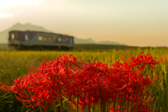 秋の北条鉄道