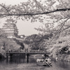 ど定番