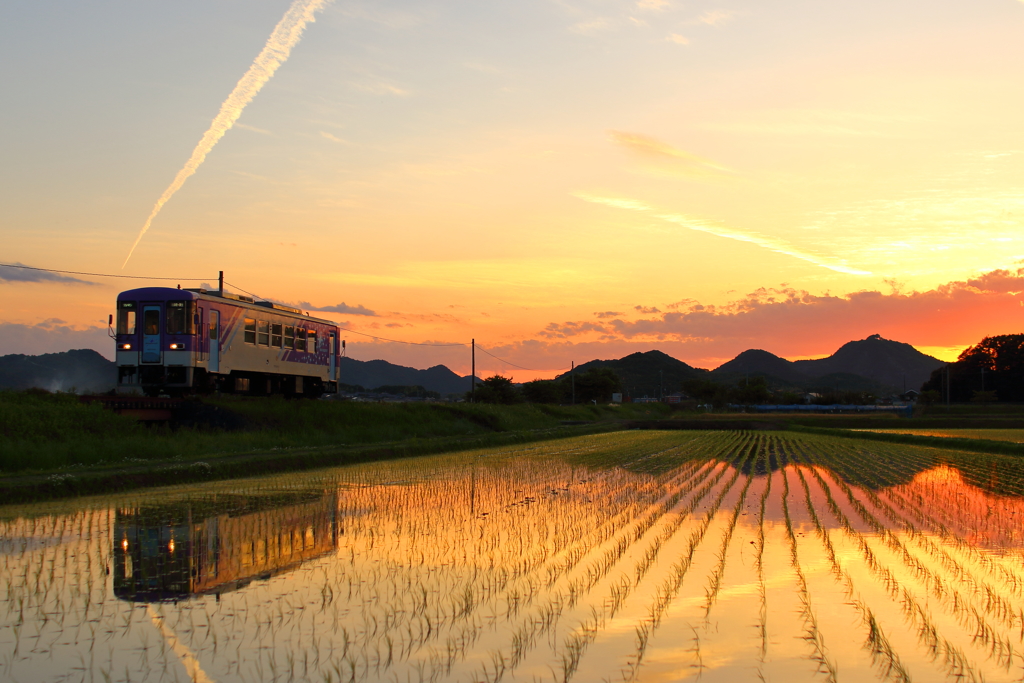 夏へ向かう日本の風景