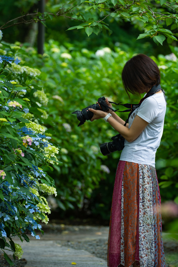 季節の華を撮る