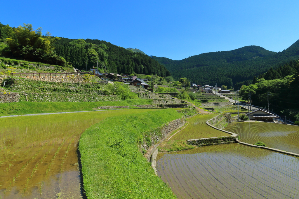 片田舎の棚田