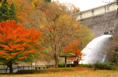 ダムと紅葉