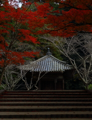 佇む